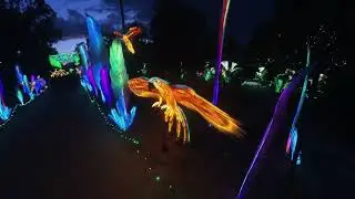 Glowing Wild Lantern Festival ,Part Deuce