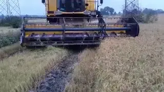 New Holland CS 6050 RİCE