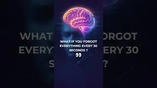 What If You Forgot Everything&hellip; Every 30 Seconds?