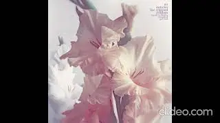 An Autumn For Crippled Children &ndash; Try Not To Destroy Everything You Love [2013]