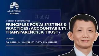Principles For AI Systems & Practices Accountability, Transparency, & Trust
