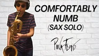 Pink Floyd - Comfortably Numb Solo (Bari Sax cover)