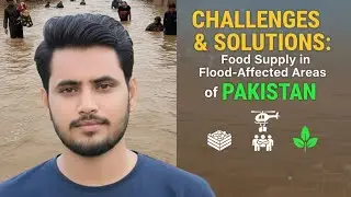 Challenges and Solutions: Food Supply in Flood-Affected Areas of Pakistan  