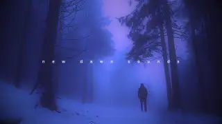 lucid dreams. (playlist)