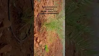 Investment for future generations #realestate #farmland #hyderabad #biofarming#trending #video #plot