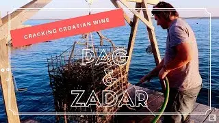Cracking Croatian Wine in Pag & Zadar