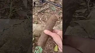 Tesouros Perdidos Neste Vale! Voc&ecirc; N&atilde;o Vai Acreditar no Que Encontramos!