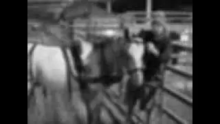 8mm thoughtograph of a pony cart ride