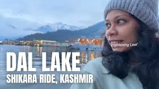 Dal Lake, Shikara ride | #kashmir #dallake #srinagar #shikara #trending #viral