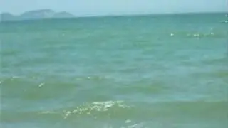 Tubaron!