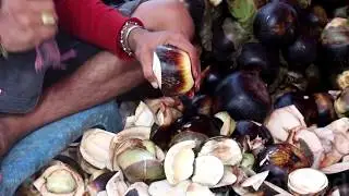 Street Food Fresh Toddy Palm Fruit 🌴🥥🐱&zwj;👤😮