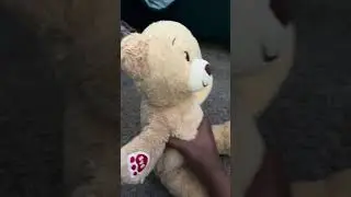 part 1 walrus ￼￼go￼’s ￼to Barry’s house!!￼
