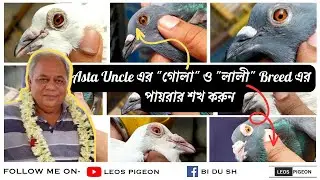 Asta Uncle এর 