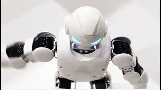 Trinhoval - Robot Cardio Ad 2019