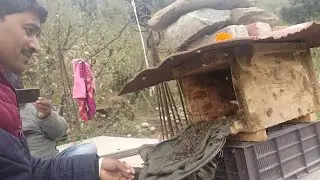 Aj di Maine Ek subscriber ko madhumakhi pakad ker village rumsu me