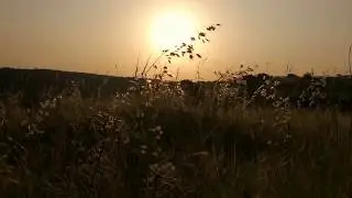 Nature park in Jaipur