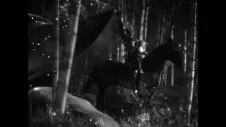 ONE FILM / ONE SHOT #110: A Midsummer Night's Dream