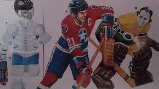 ICE HOCKEY AND ICE SKATING . An indoor Game / Sport , important  detail explained. (URDU).