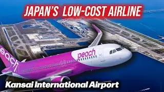 $40 Japan Domestic Flight 🇯🇵 I Peach Aviation A320 Economy Review (KIX-NRT)