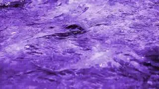 Dominique Fils-Aimé I The River (Official Audio)