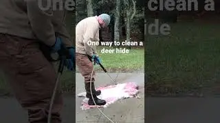 Deer hide preparation- Power washer style