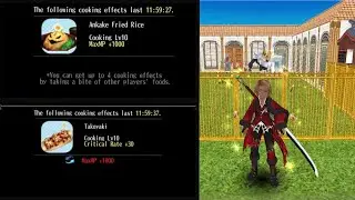 Crit 10 and mp 10 food buff. House land tour ^_^ Toram Online ^_^