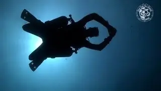 Koh Tao Tec Divers