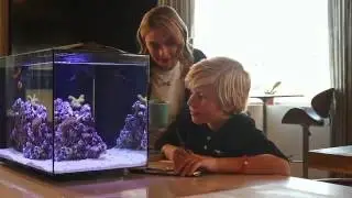 The world&rsquo;s first sustainable saltwater aquarium