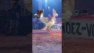 🦅Chor&eacute;graphie extraordinaire #team221 #pourtoi #couple #virale #tiktoksenegal #danse #嗡嗡嗡 #funny