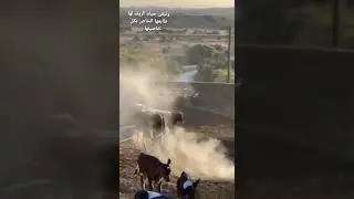 Easy Aspire Tours | The nature of Salalah Dhofar and its countryside 4