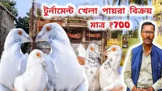 বেলঘরিয়া পায়রা বাজির অভিজ্ঞ ব্যক্তি উৎপল দা।TOURNAMENT QUALITY MADRAS LOFTS।@pigeonsloverrj9600 
