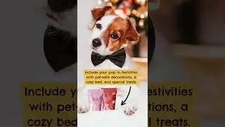 Creating a Pawsitively Merry Holiday for Your Fur-Baby | Tips for Pet Celebrations with Mellow Perro