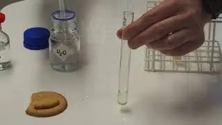 Lipid emulsion test  IGCSE Biology