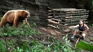 FULL VIDEO: black bear attack, wildlife hunting skills, camping, wild boar trap, survival skills