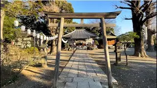 平塚城　舌状台地に築かれた駅近の城
