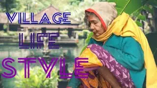 Village life Style || Village life Style vlog 
