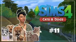 First Surgery! | The Sims 4: Cats and Dogs | Part 11