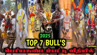 TOP 7 BULL'S 🥵 Periya Sundampatti Street 🔥 2025 🥵 Running Collection 🥵#eruthukattu #manjuvirattu 🔥