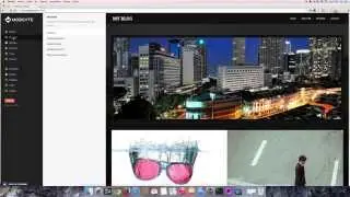 How to use the Mobsyte preview function