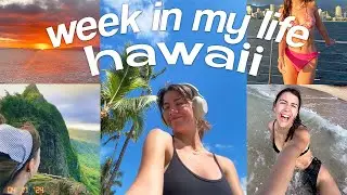 my first week living alone in hawaii (moving diaries)