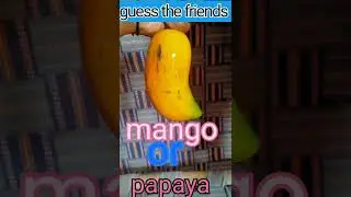 guess the goes mango ya papaya #shorts #gk #gkfacts #pradeep Gyan official
