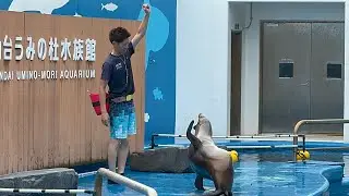 (240714)仙台うみの杜水族館スタジアムライブ(サマースプラッシュ)