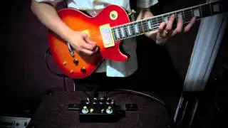 ANARCHY AUDIO UGLYFACE with LFO Effects Pedal Demo