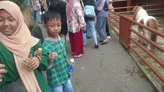 Liburan Tahun Baru 2026 di Batu Ekonomis Park 