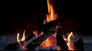 Cozy Winter Night:  Unwind With a Toasty Campfire and Soft Owl Sounds