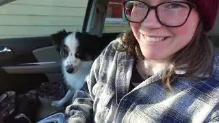 Vet Appointment- Teeth Extractions, Medicine- New Grain For Knight- Making Mash For Senior Horse