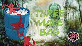 Three Male Bag | Brainstorm Brewery #402 | Magic Finance