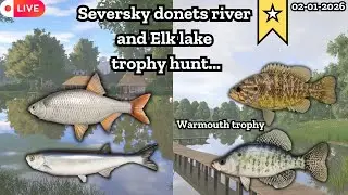Sevrsky donets river trophy hunt | Amber lake trophy hunt |  Russian fishing 4 | Nanstein | #rf4