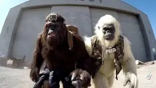 Yeti & I Are At Area 51!