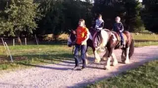 Pferdereiten
